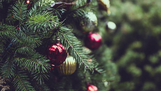 Christmas traditions in Germany
