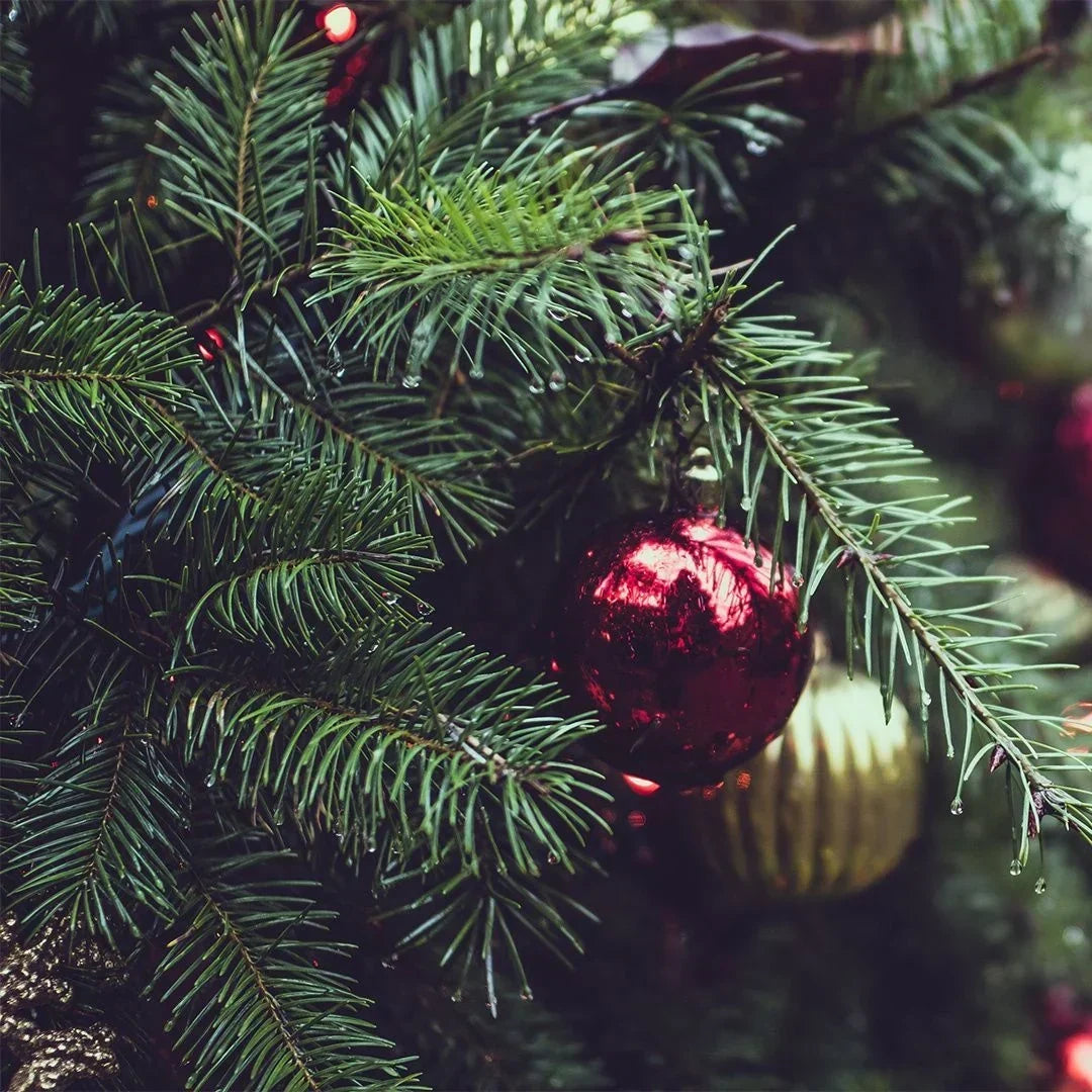 Advent