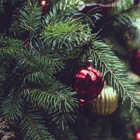 Advent