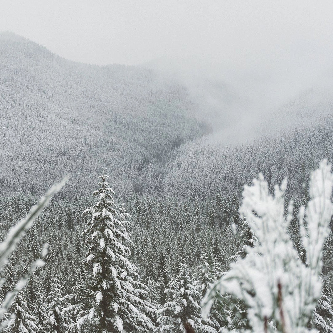 White Christmas