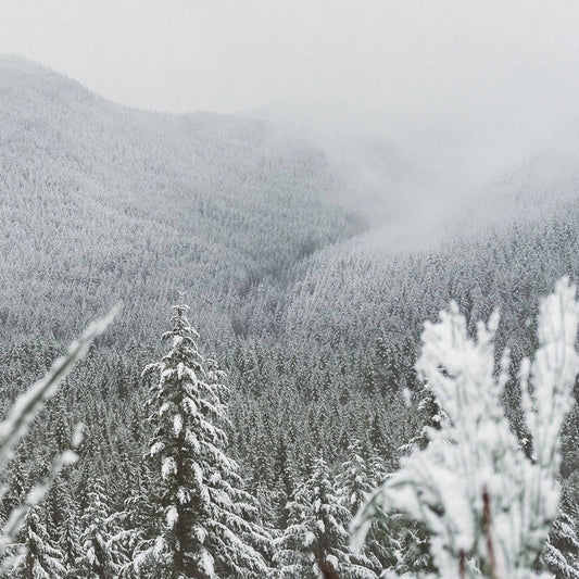 White Christmas